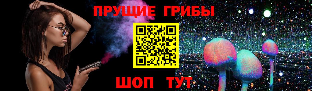 Псилоцибиновые грибы Psilocybe  Вход с VPN  Ейск 